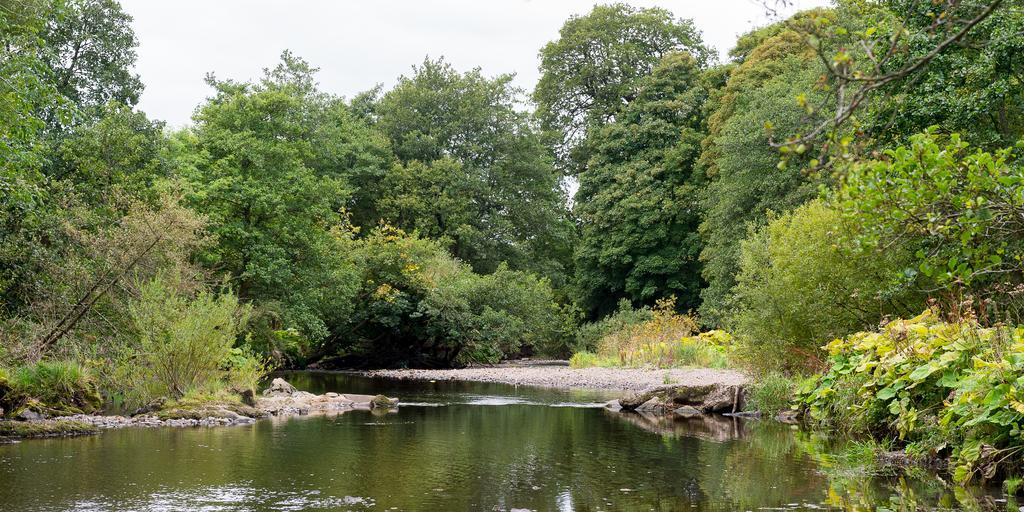 Campsie Glen Holiday Park Fintry Εξωτερικό φωτογραφία